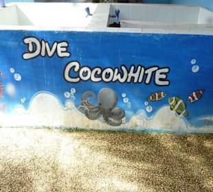 Tauchbasis Dive Coco White 