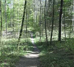 Wanderweg Hochgehwachsen