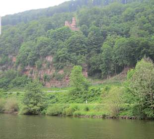 Schifffahrt auf dem Neckar