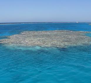 Ein super schönes Riff