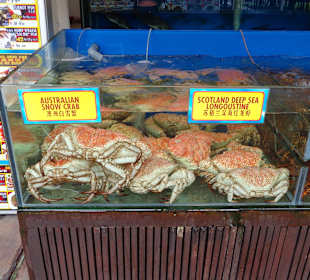 Auslegeware in den Restaurants am Fluß