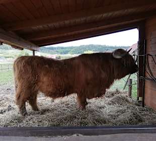 Freilichtmuseum Pstrążna