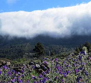 Blick  auf den Vulkankrater