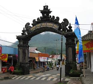Zufahrt zum Botanischen Garten