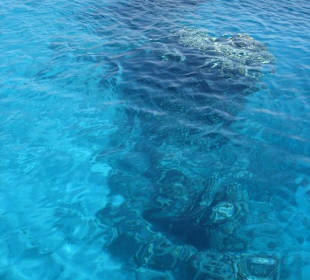 Schön zum Schnorcheln