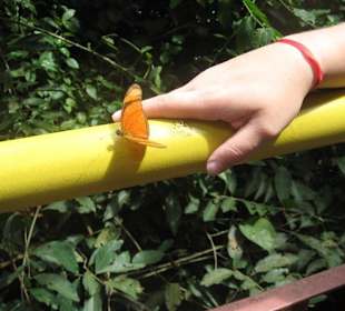 Foz do Iguacu