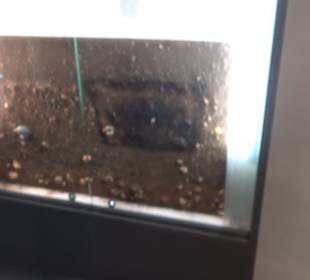 Museum Römer und Bajuwaren