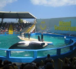 Miami Seaquarium
