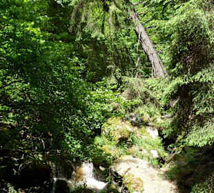 Blick in die Schlucht