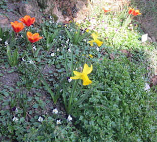 Der Botanische Garten im März 14