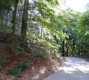 Wanderweg vor dem Schloss