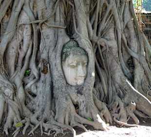 Während der Rundreise in Ayutthaya