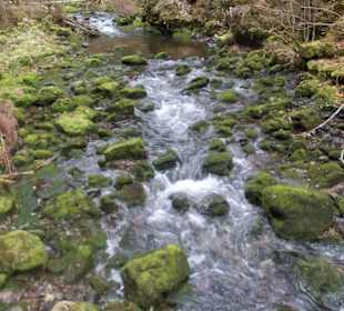 Schwarzwasserbach-quirlig