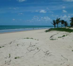Blick auf den Strand
