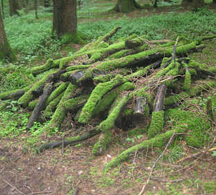 Rundwanderweg Aying