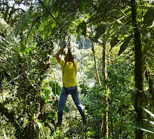 Unser Guide schlägt mit der Machete den Weg frei