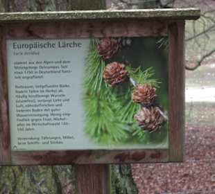 Wildpark Eichert