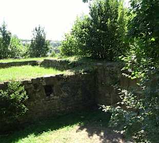 Ruine Engelburg
