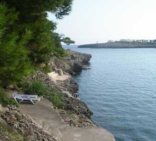 Cala