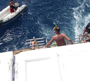 Schnorcheln und Tauchen