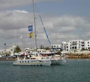 Katamaran Albatros