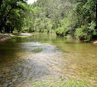 Sierras de Cazorla-Quellgebiet des Guadalquivir(4)