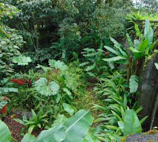 La Paz Waterfall Gardens