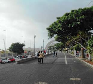 Avenida Maritima