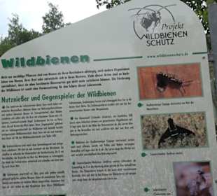 Naturinfopfad Weggental