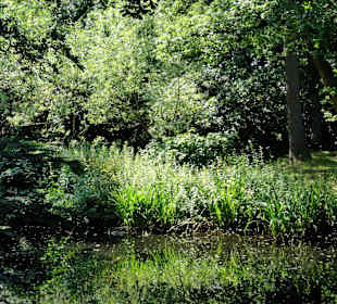 Impressionen aus dem Gesundheitspark Speckenbüttel