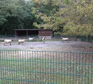 Tierpark 