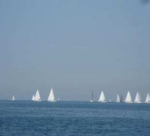 Bootje kijken