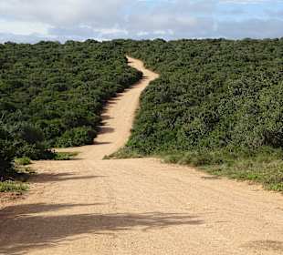 Schotterpiste aber gut zu fahren