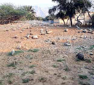 Stadtrundfahrt Khasab