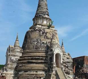 Gut erhaltener Chedi