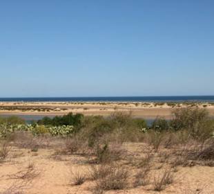 Auf der Fahrt nach Tuléar