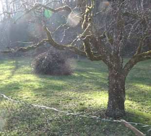 Wanderung Florianrunde