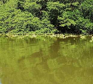 Tortuguero Kanal