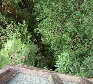 Blick von den Hängebrücken nach unten