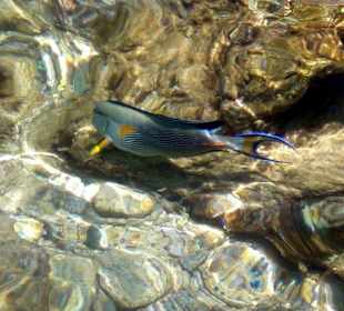 Hausriff Hotel Bel Air Beach Resort