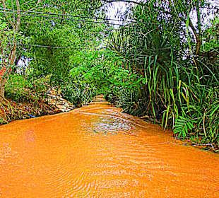 Fairy Spring Einstieg