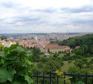 Aussicht vom Kloster