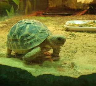 Allwetterzoo Münster