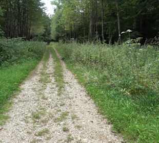 Sonnenaufgangs-Rundwanderung Rübgarten