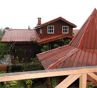 Ausflug Wildfife Expeditions