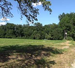 Eduard Lucas Musterobstgarten Mähringen