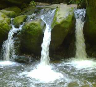Kleine Luxemburger Schweiz bei Echternach