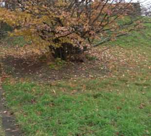 Park am Kriegsbergturm