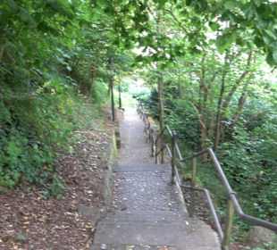 Stadtgeschichte aktiv erleben