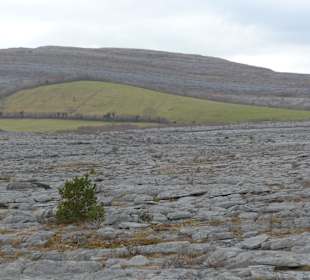 Wanderung im Burren Nationalpark